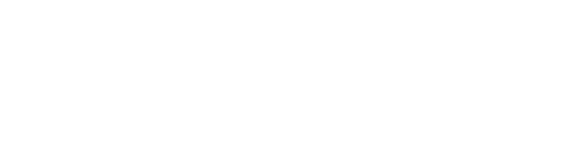 Renaissance.coach